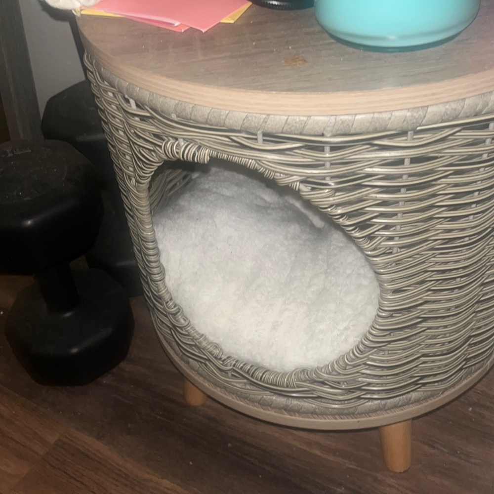Cat comfy hiding place